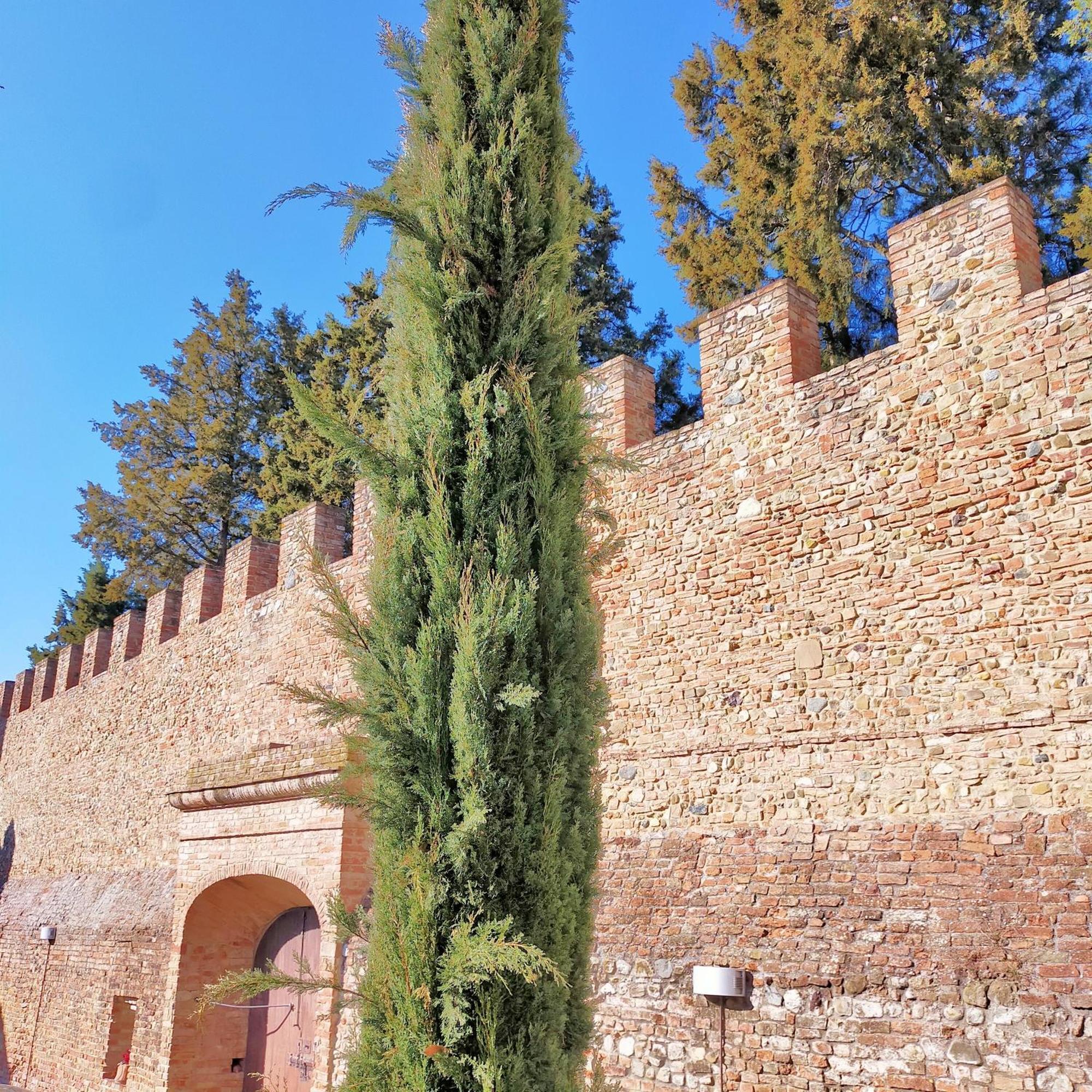 Apartmán Palazzo Stiozzi Ridolfi Certaldo Exteriér fotografie